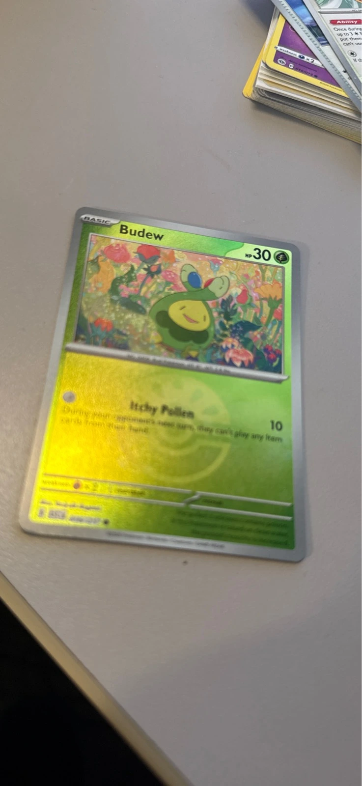 Budew - Ascended Heroes #016/217