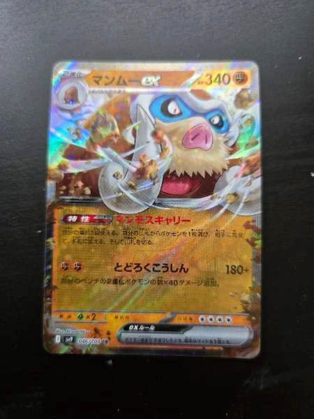 Mamoswine ex (JP) - Battle Partners #046/100