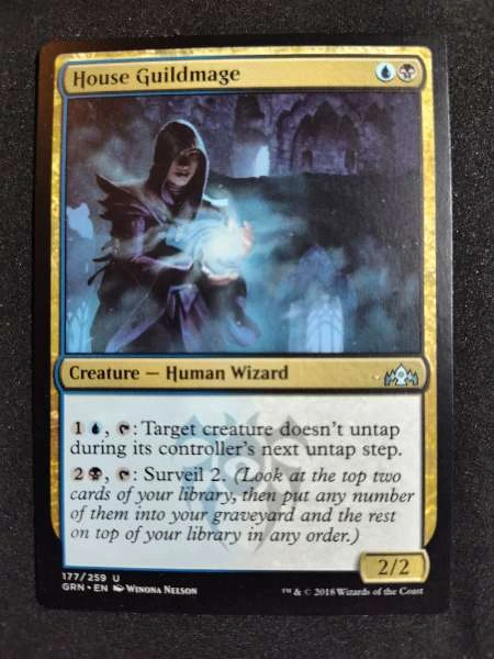 House Guildmage - Guilds of Ravnica #177/259