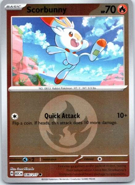 Scorbunny - Ascended Heroes #036/217