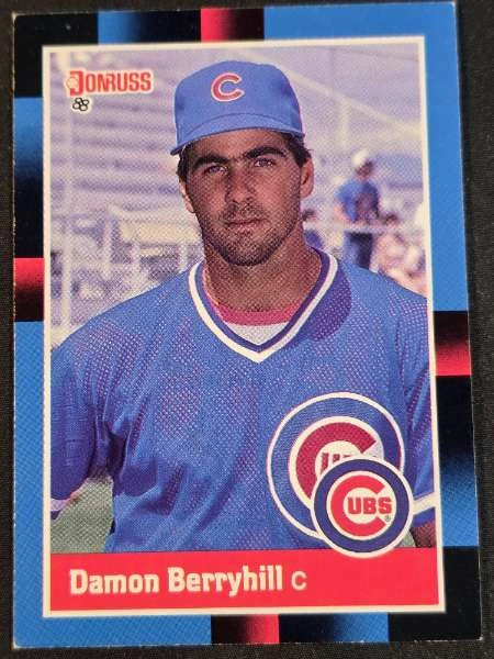 Damon Berryhill - Donruss #639