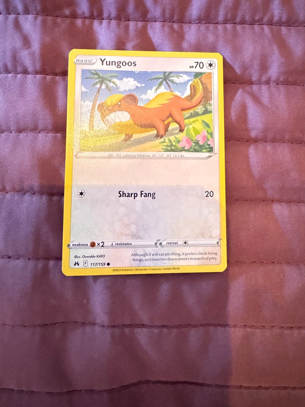 Yungoos - Crown Zenith #117/159