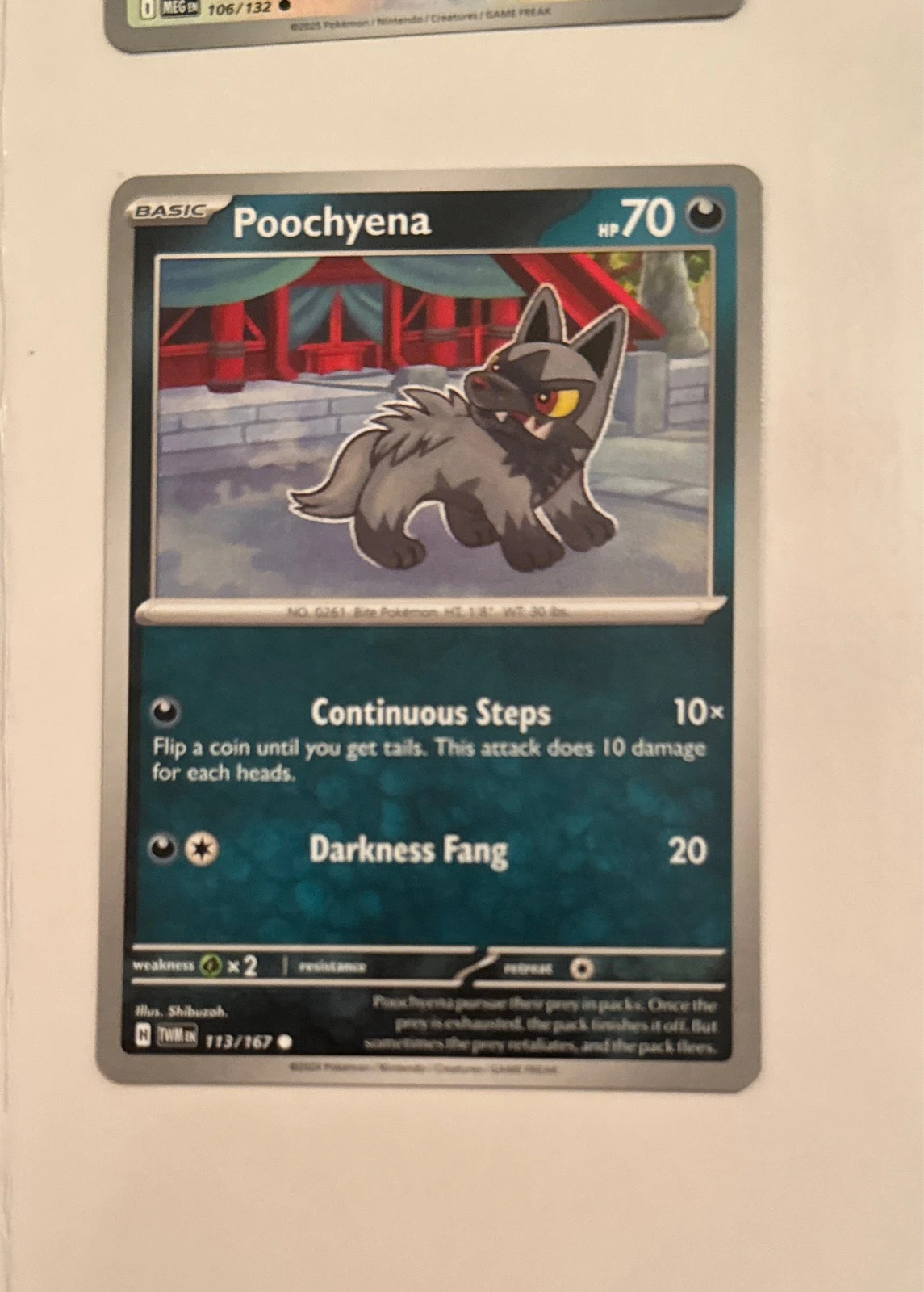 Poochyena - Twilight Masquerade #113/167
