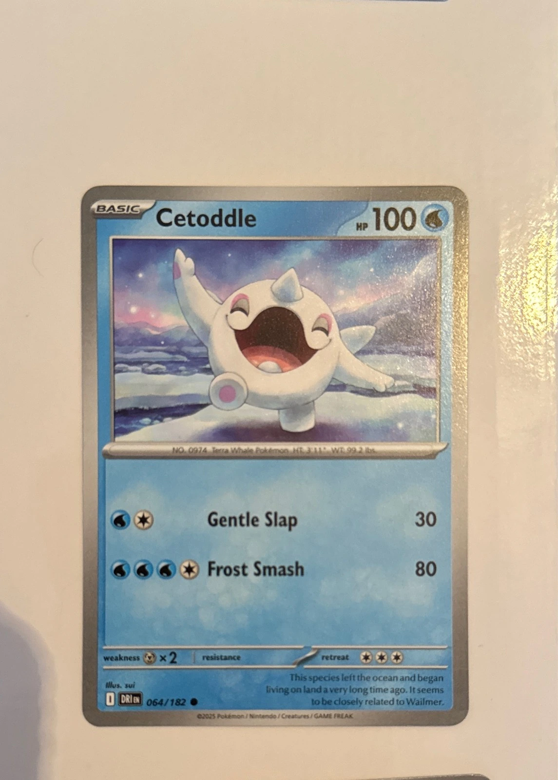 Cetoddle - Prismatic Evolutions #064/182