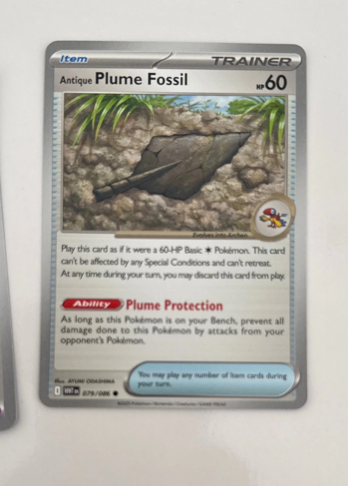 Antique Plume Fossil - White #079/086