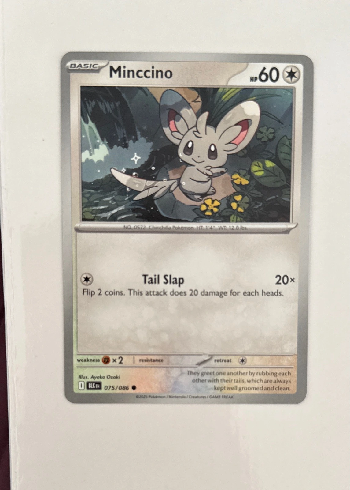 Minccino - Scarlet & Violet—Temporal Forces #075/086