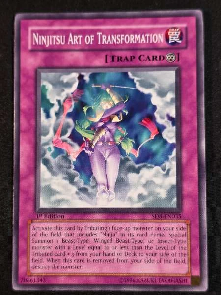 Ninjitsu Art of Transformation - Warrior's Triumph #SD8-EN035