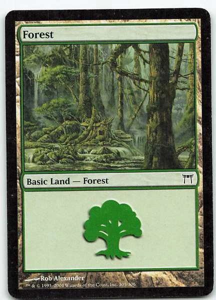 Forest - Champions of Kamigawa #305/306