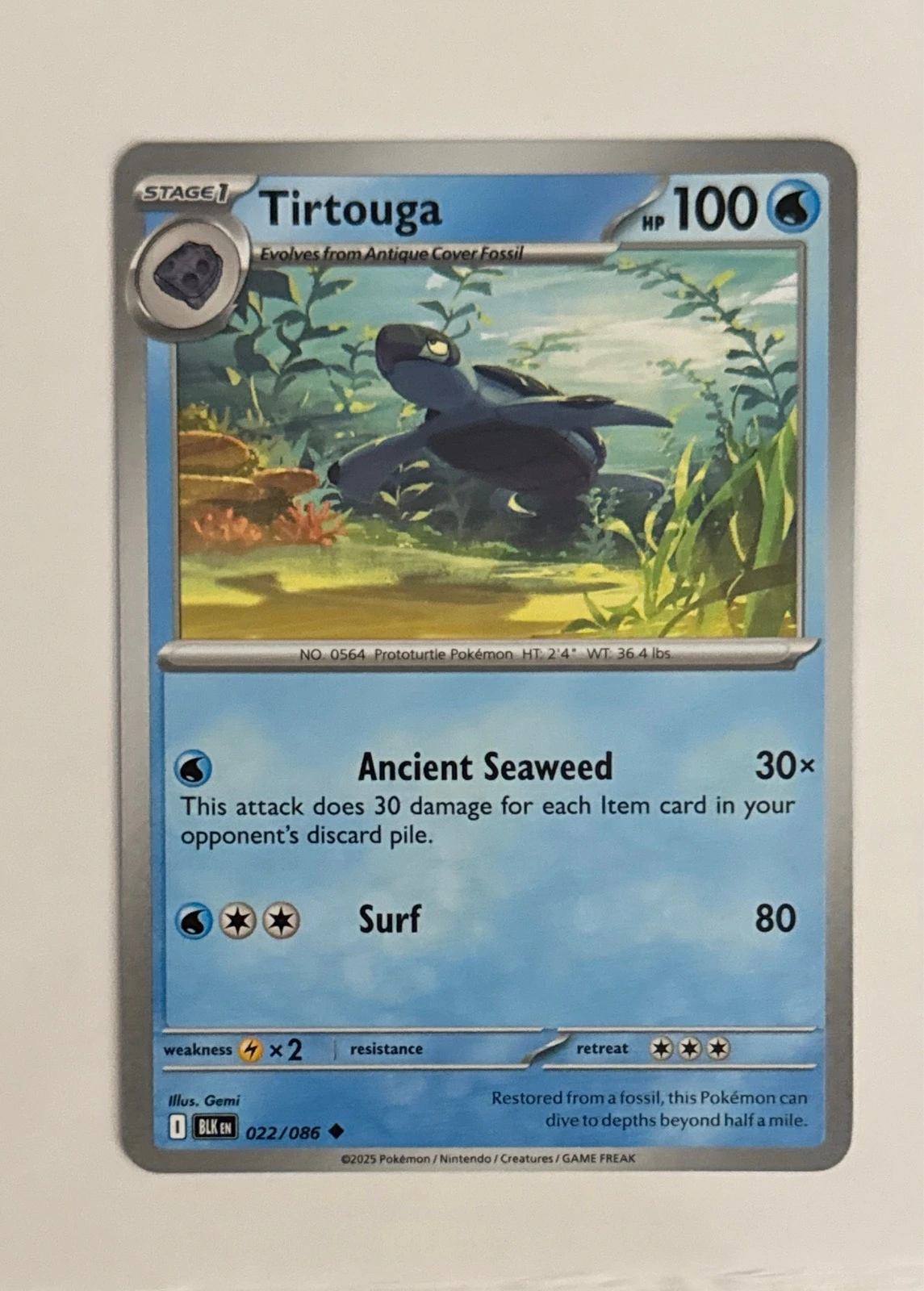 Tirtouga - Black & White #022/086