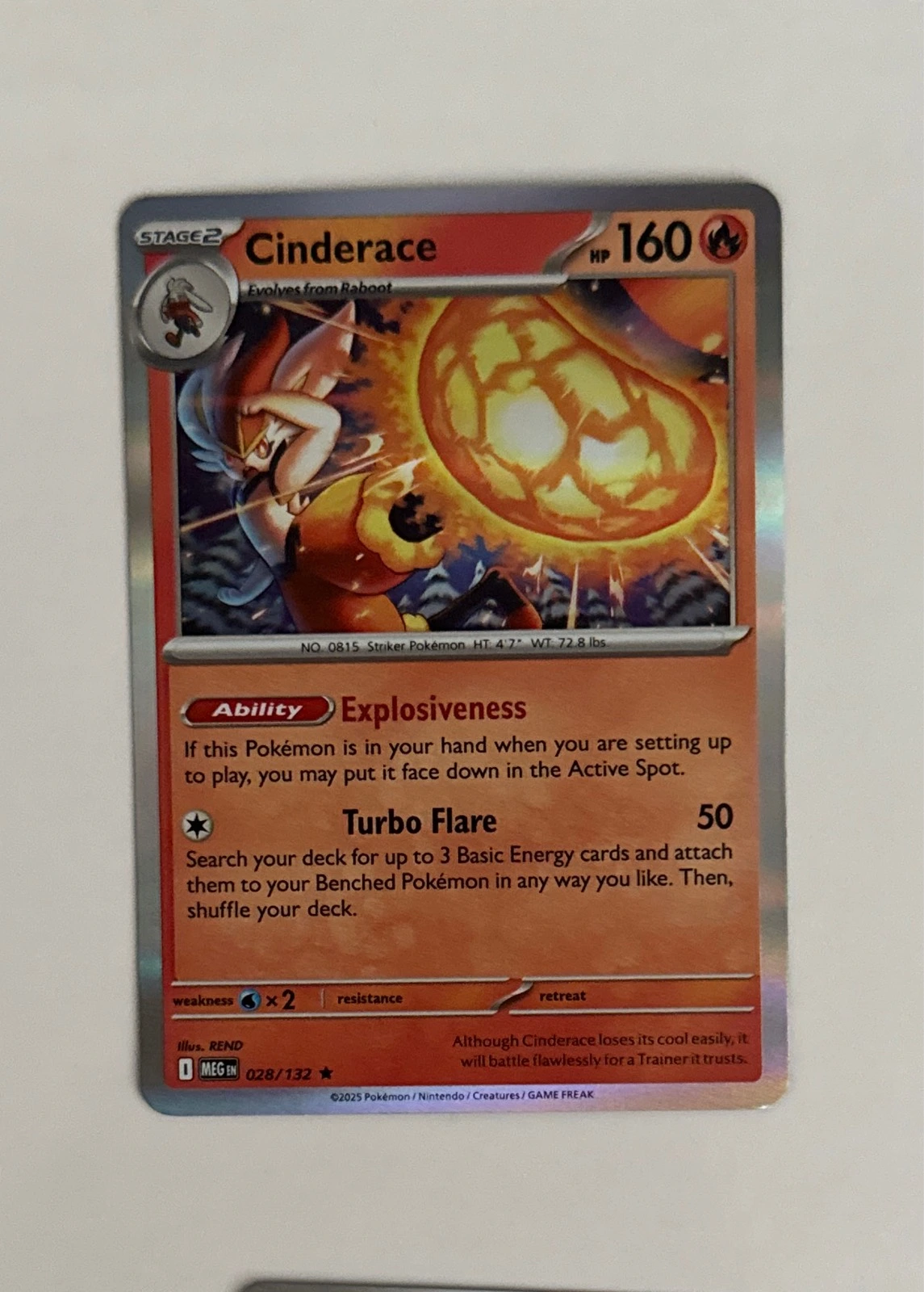 Cinderace - Pokémon #028/132