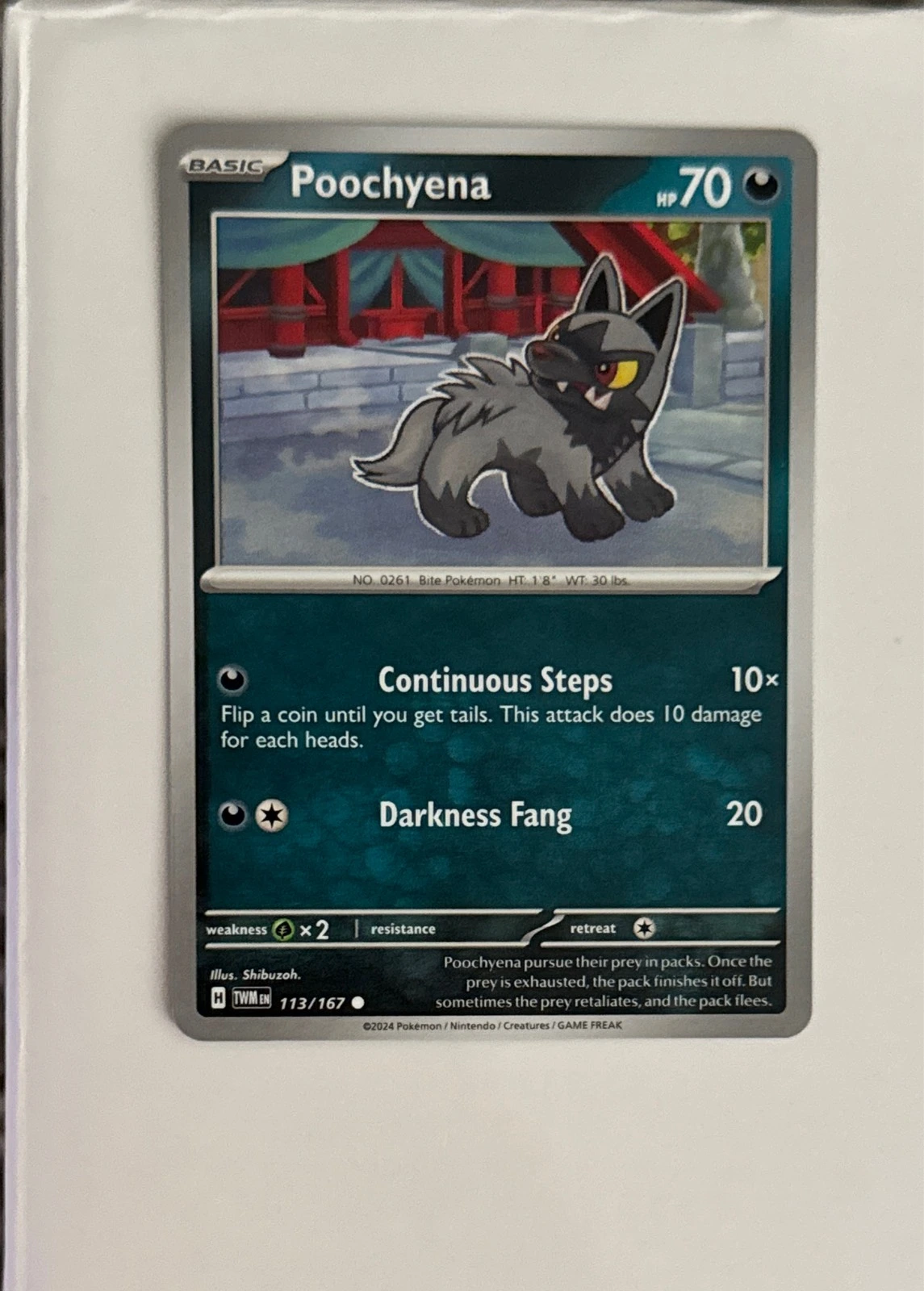 Poochyena - Twilight Masquerade #113/167