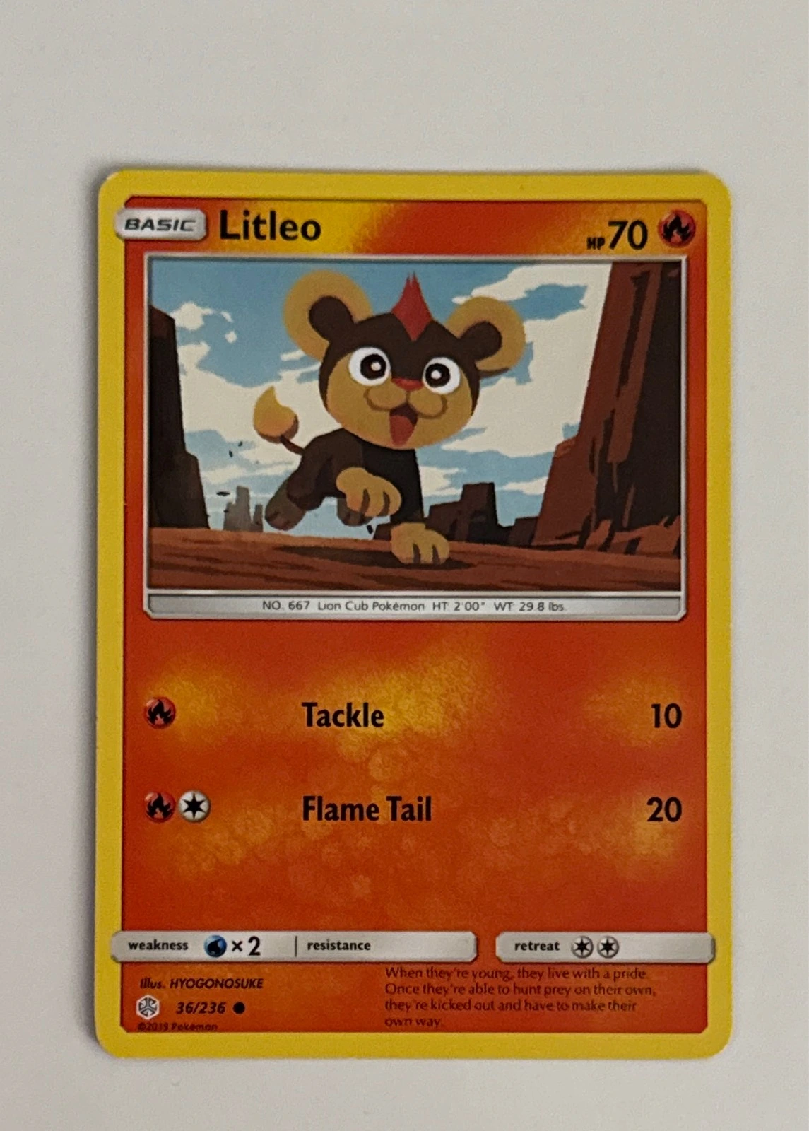 Litleo - Unified Minds #36/236