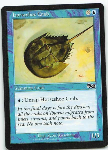 Horseshoe Crab #80/150