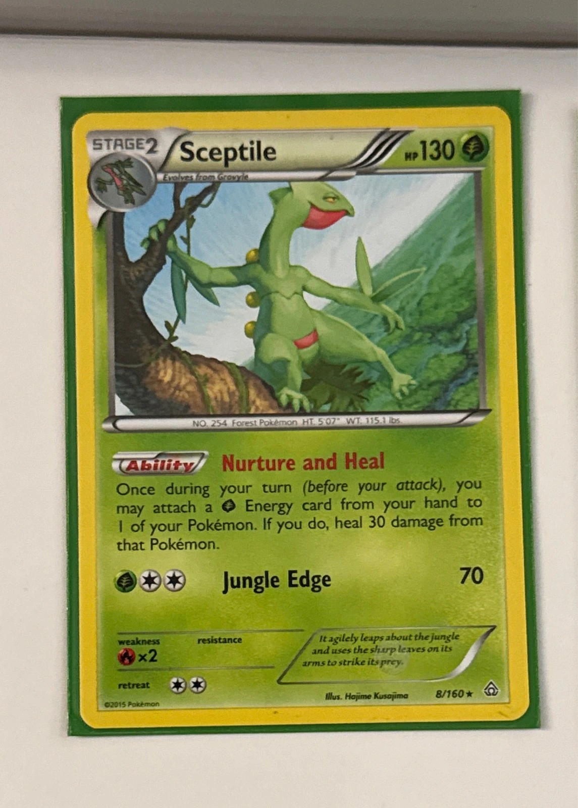 Sceptile - Primal Clash #8/160