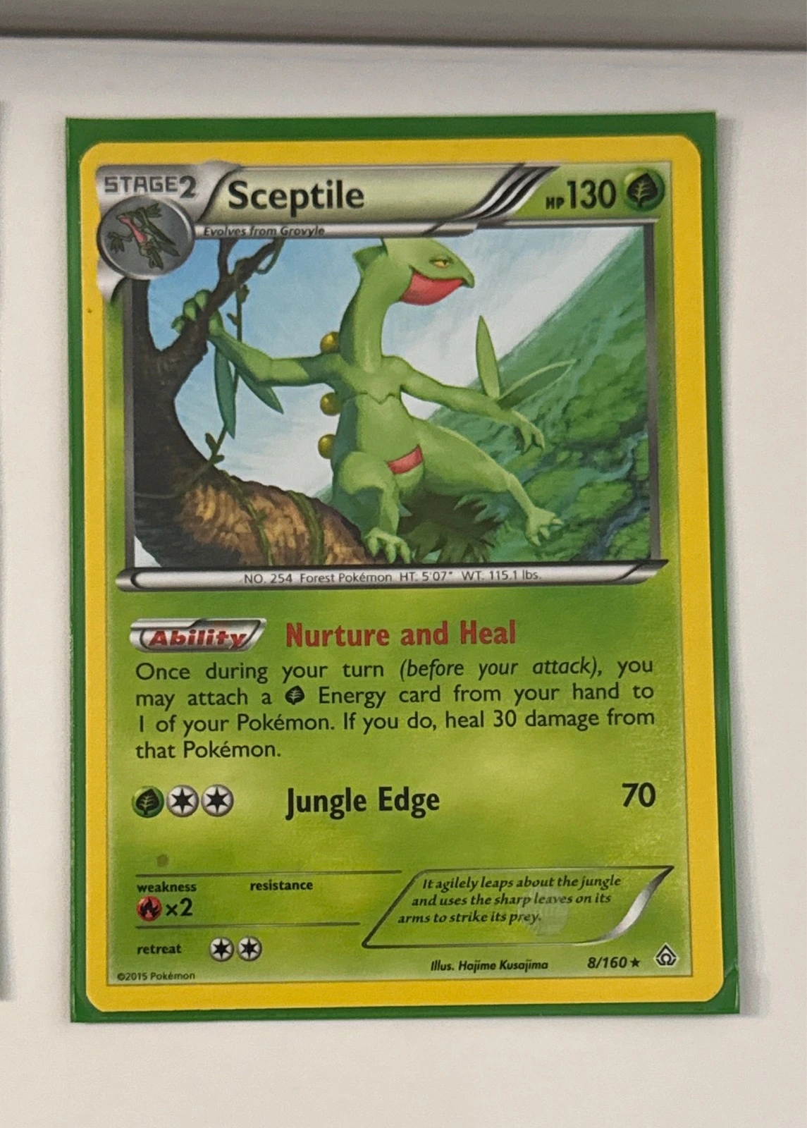 Sceptile - Primal Clash #8/160