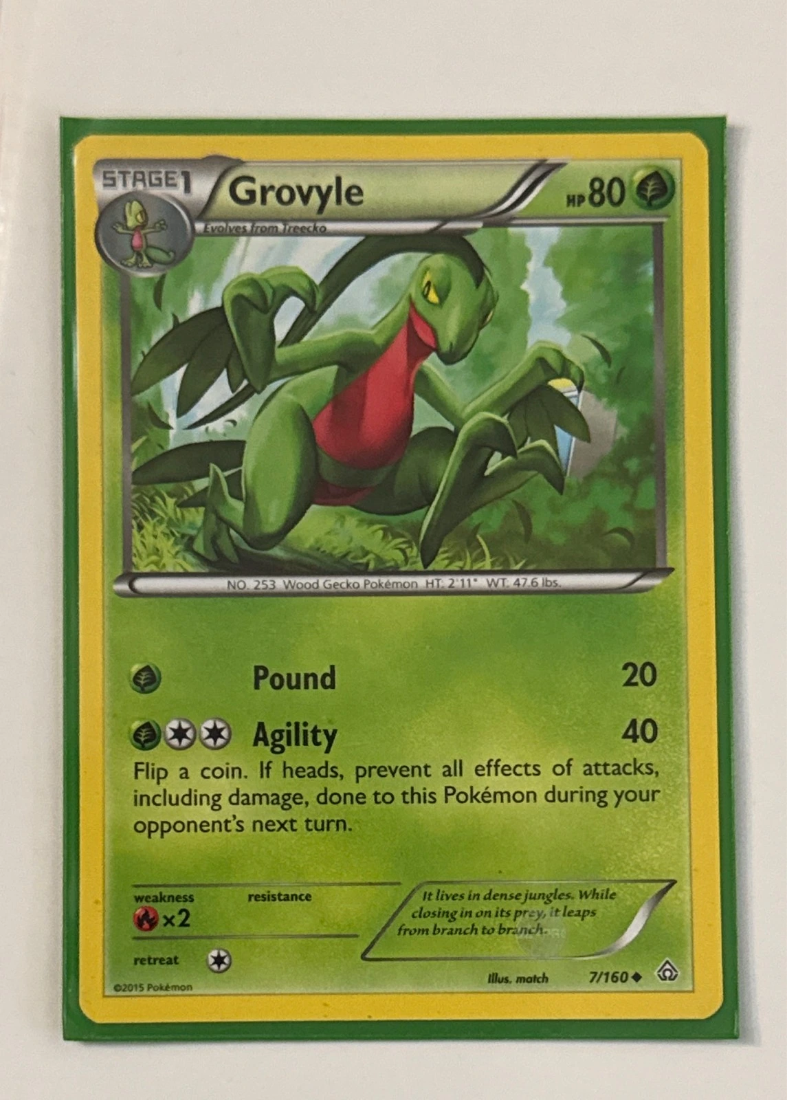 Grovyle - Primal Clash #7/160