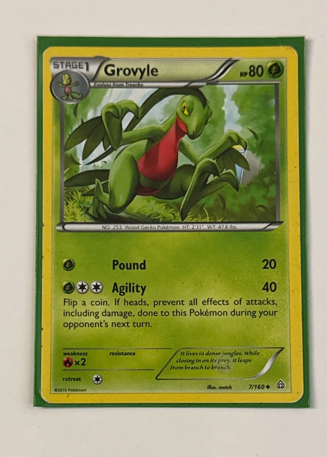 Grovyle - Primal Clash #7/160
