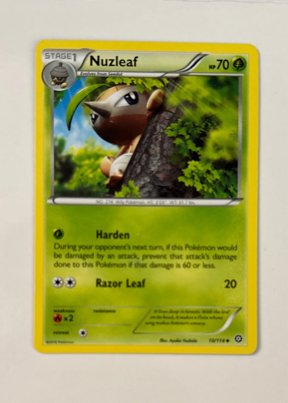 Nuzleaf - Steam Siege #10/114