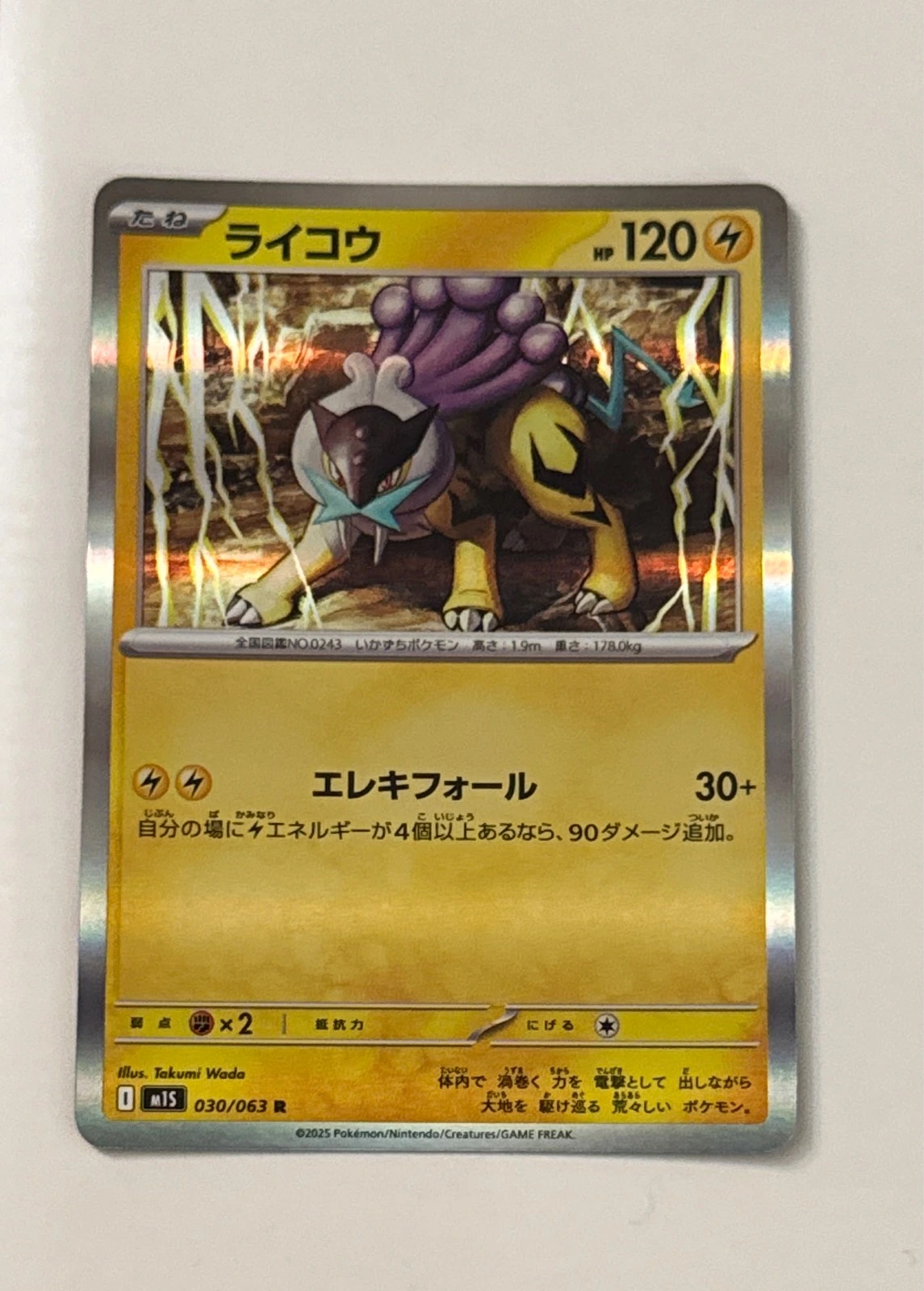 Raikou - Pokémon #030/063