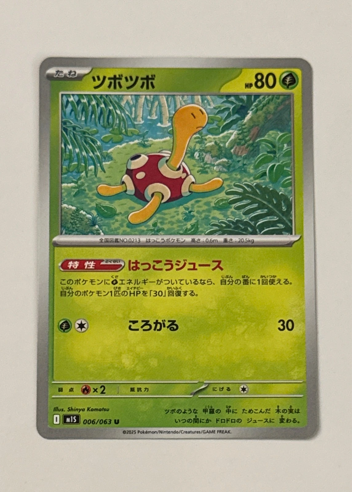 Shuckle - Pokémon #006/063