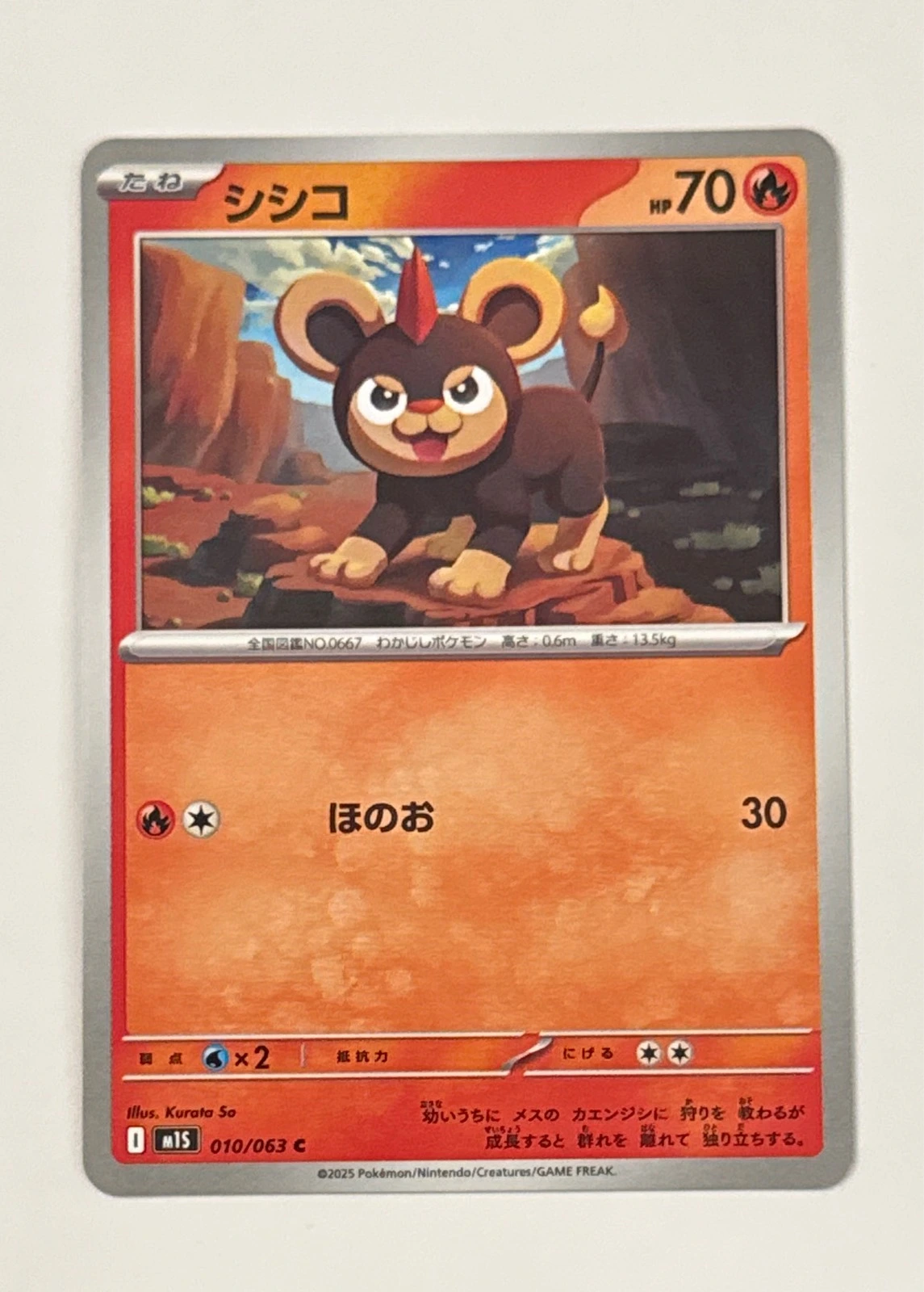 Litleo - Starter Deck & Build Set Terastal Mewtwo ex #010/063