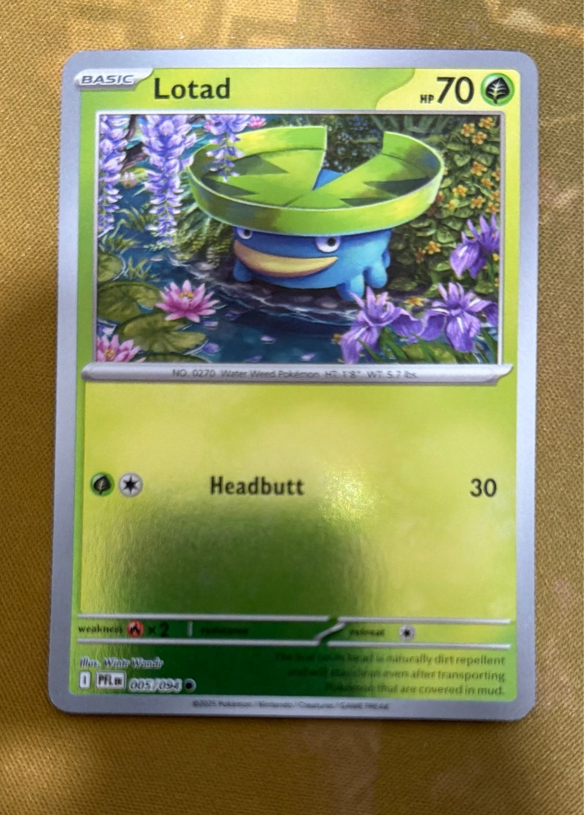 Lotad - Prismatic Evolutions #005/094