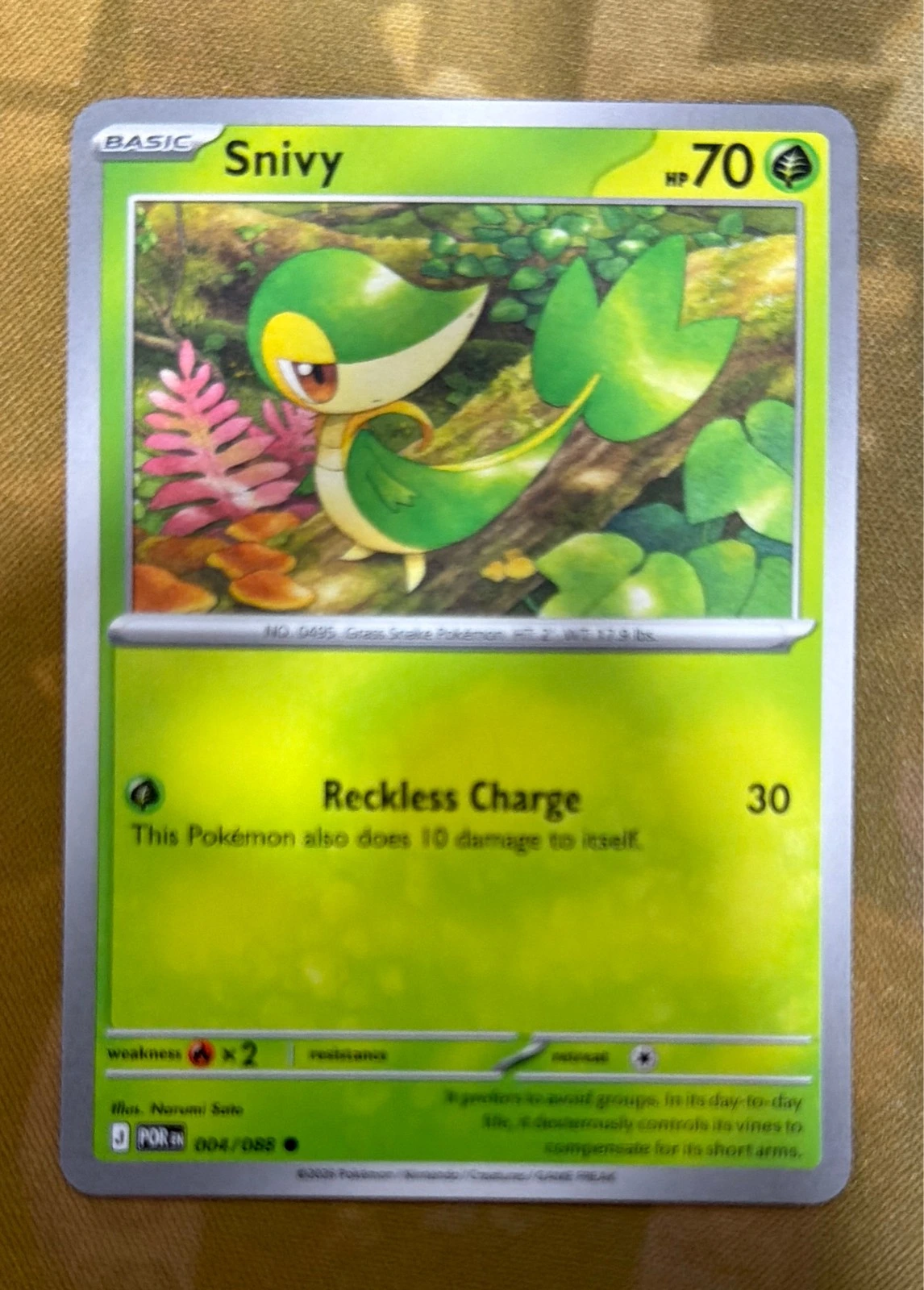 Snivy - Pokémon McDonald's Collection 2021 #004/025