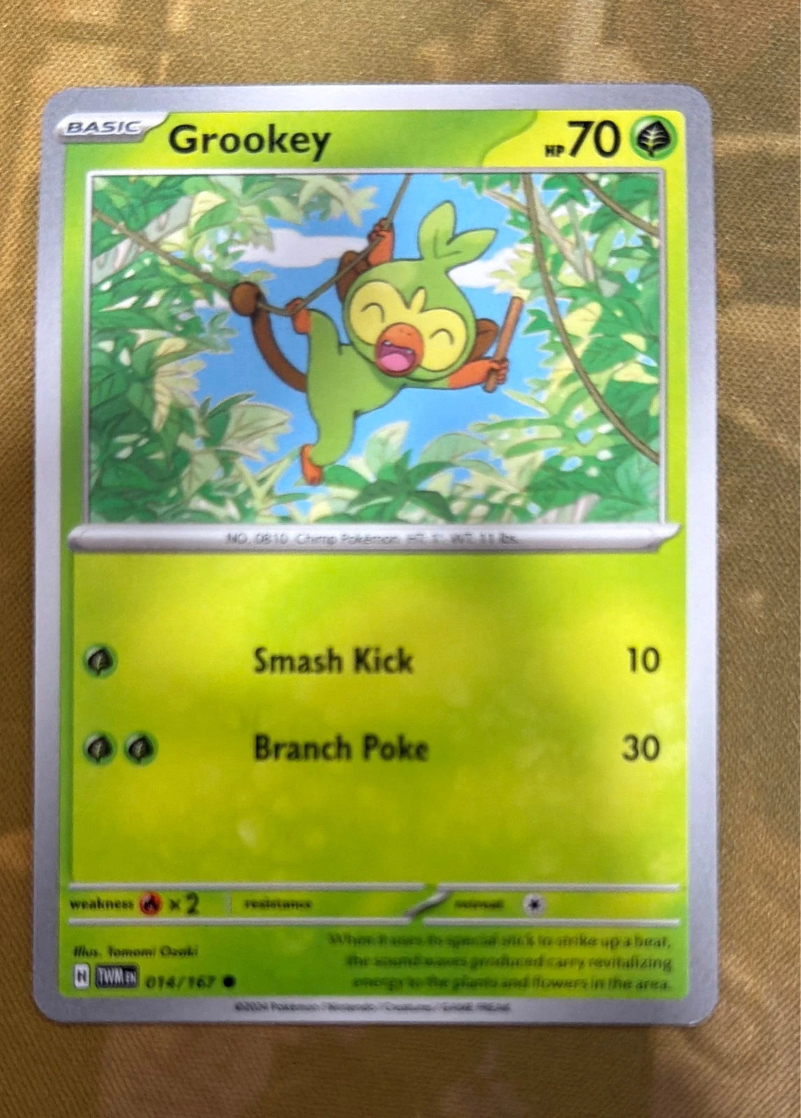 Grookey - Twilight Masquerade #014/167
