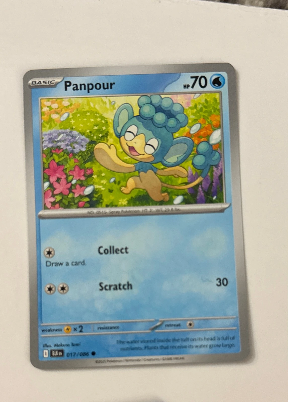 Panpour - Stellar Crown #017/086
