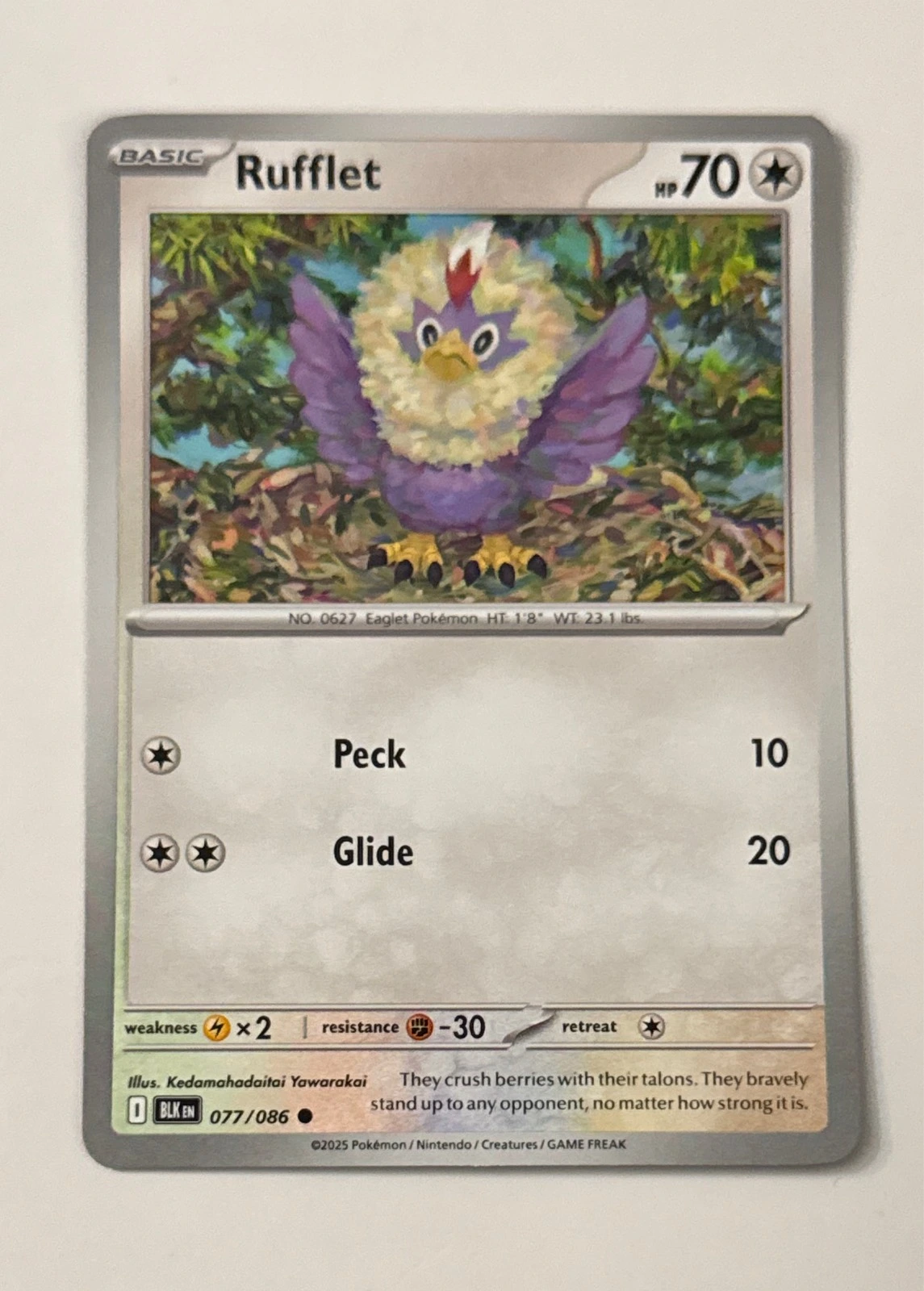 Rufflet - Black Star Promo #077/086