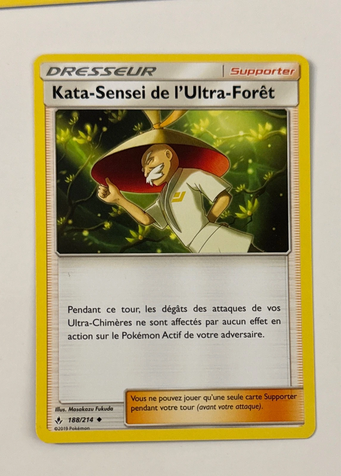 Kata-Sensei de l'Ultra-Forêt - Soleil et Lune : Duo de Choc #188/214