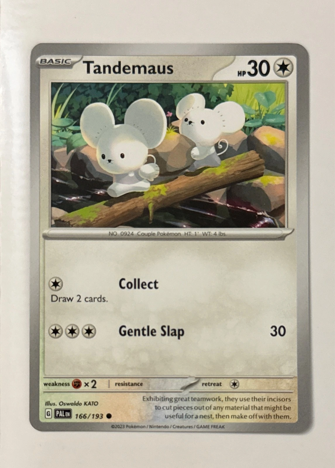 Tandemaus - Paldea Evolved #166/193