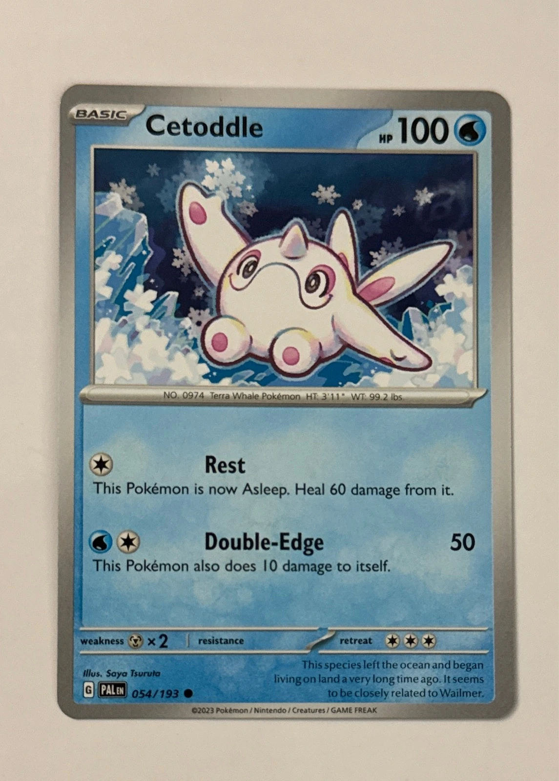 Cetoddle - Scarlet & Violet: Paldea Evolved #054/193