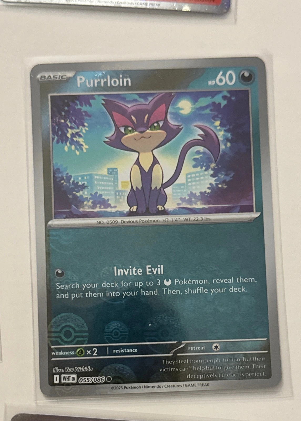Purrloin - Pokémon TCG: Scarlet & Violet—Shrouded Fable #055/086
