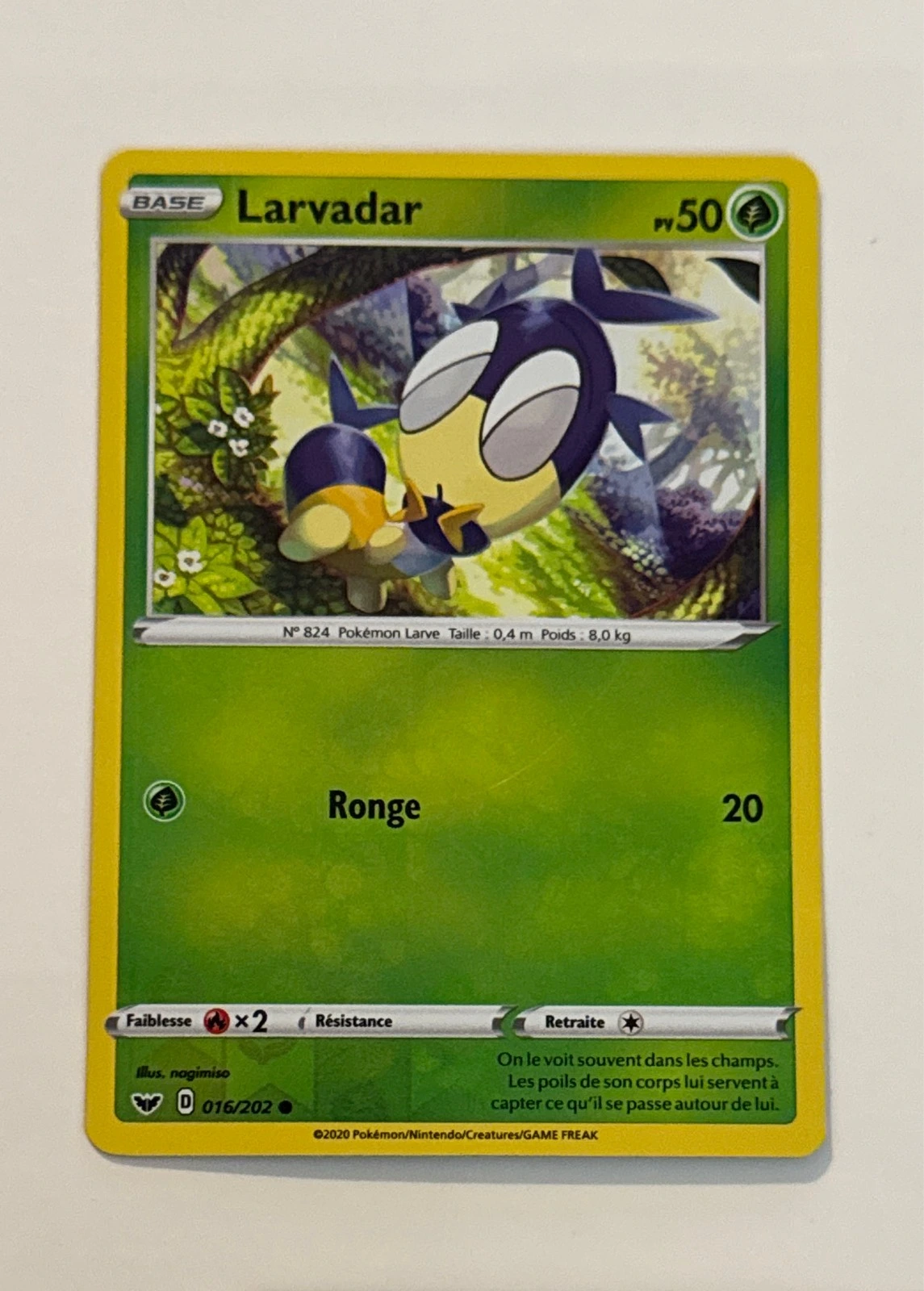 Larvadar - Épée et Bouclier #016/202
