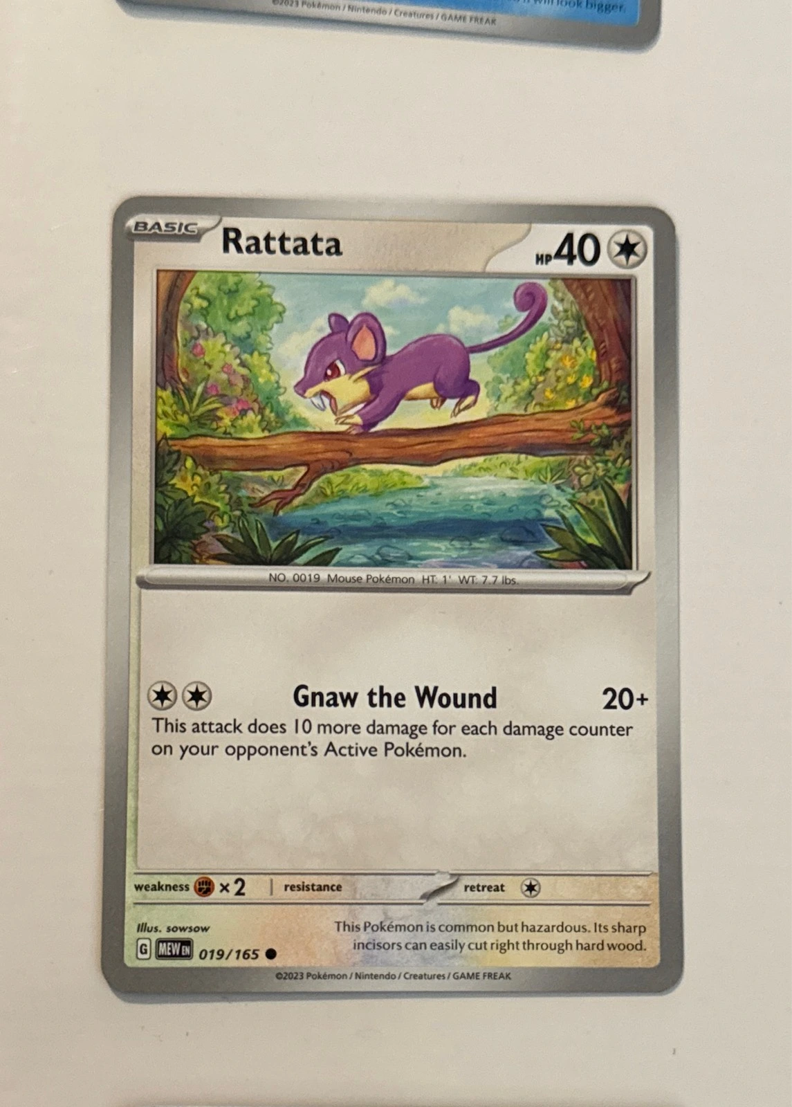 Rattata - Pokémon 151 #019/165