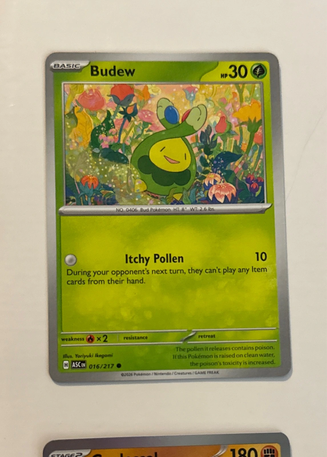 Budew - Stellar Crown #016/217