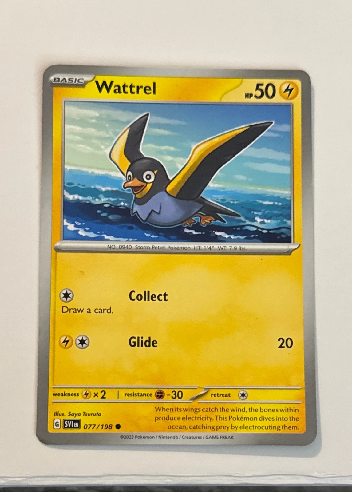 Wattrel - Scarlet & Violet #077/198