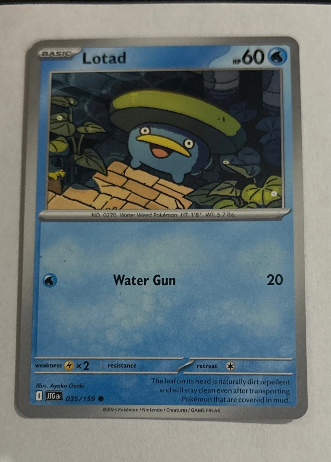 Lotad - Stellar Crown #035/159