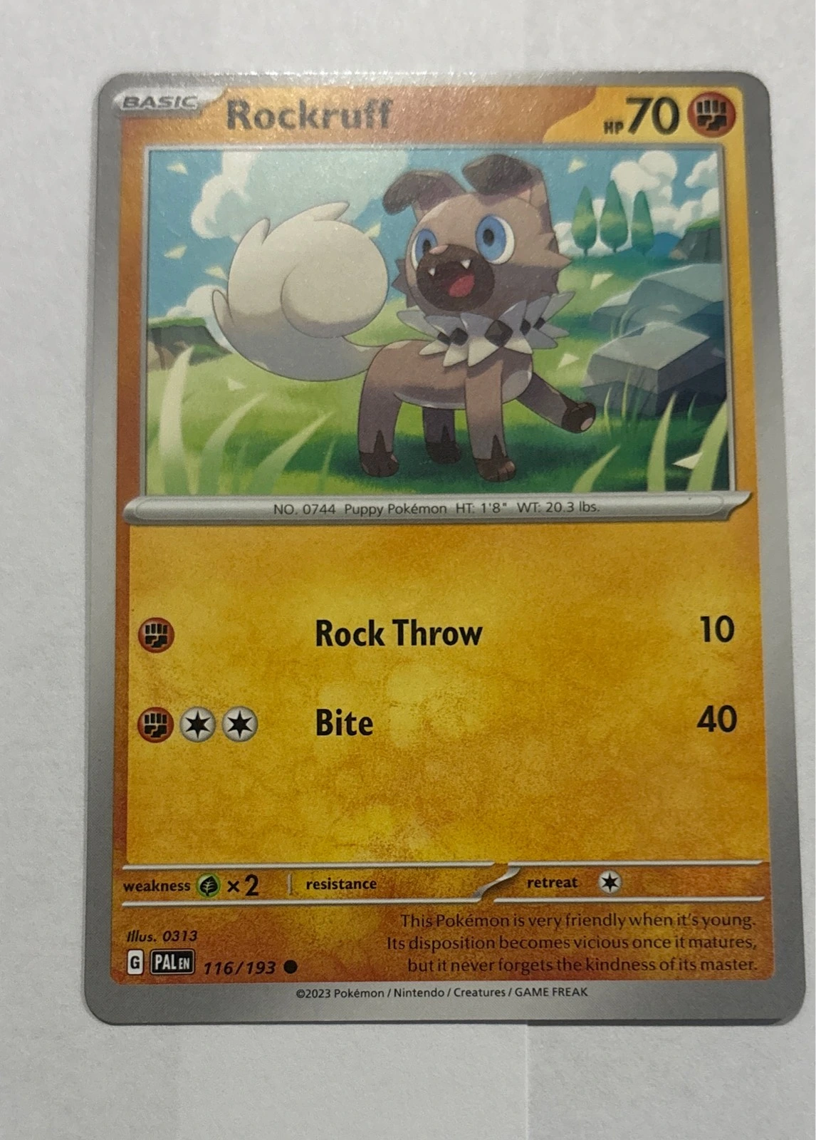 Rockruff - Paldea Evolved #116/193
