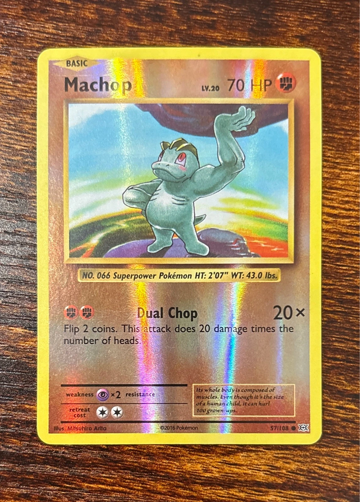 Machop - Pokémon Evolutions #57/108