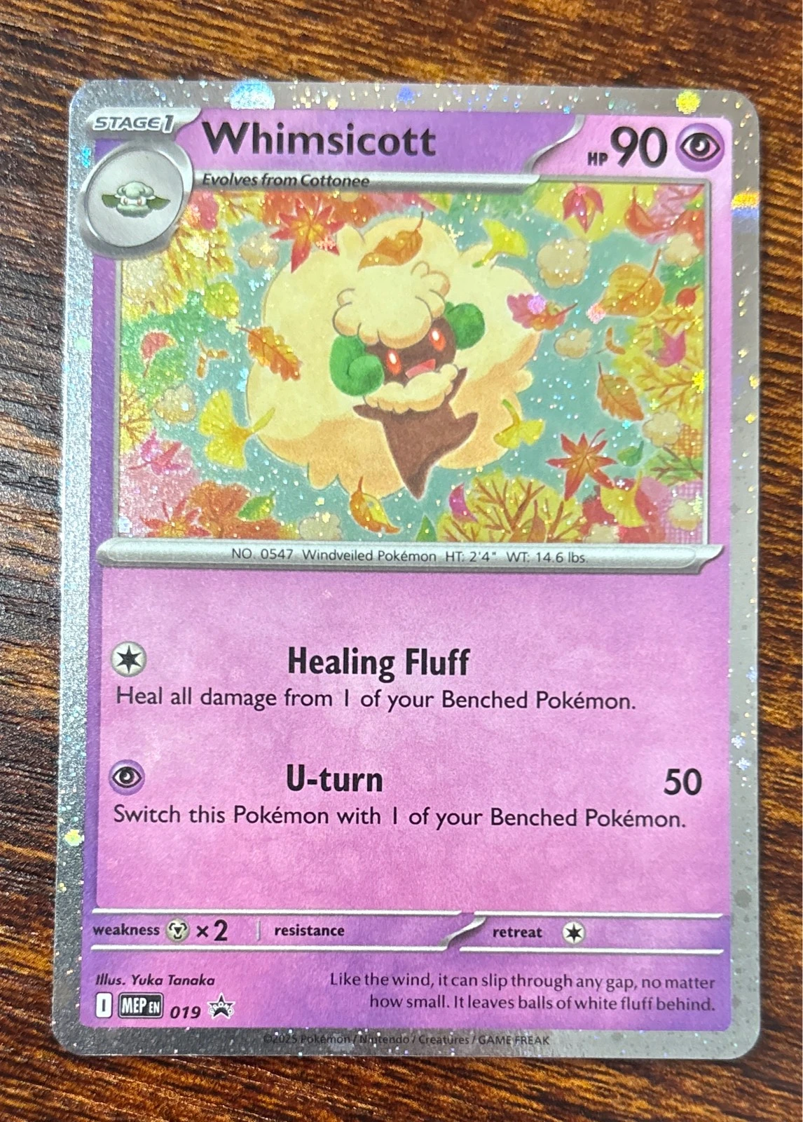 Whimsicott - Pokémon Stellar Crown #019