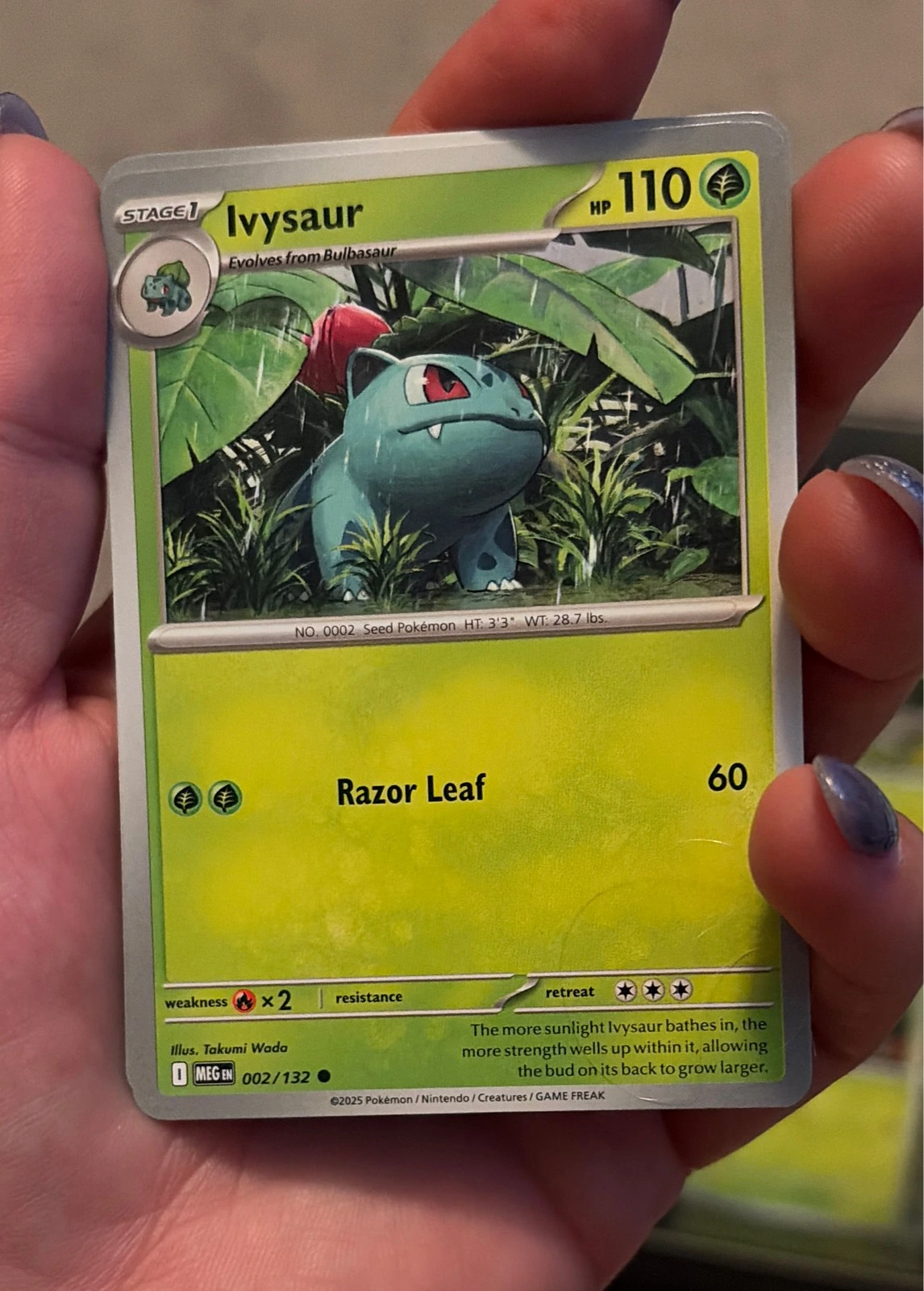 Ivysaur Mega Evolution 002/132 Common Pokemon Near Mint - Pokémon MEGEN #002/132