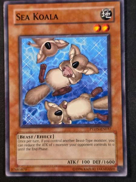 Sea Koala - Phantom Darkness #PTDN-EN037