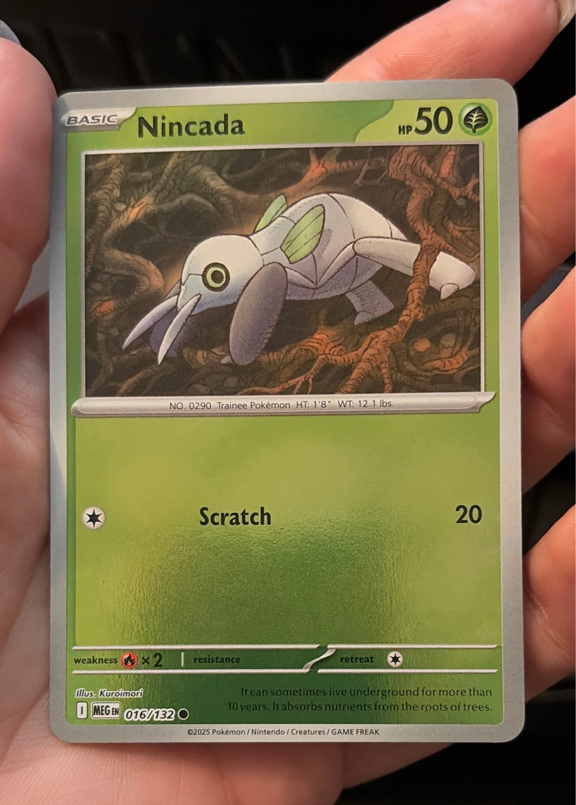 Nincada 016/132 ME01: Mega Evolution Reverse Holo - Pokemon TCG NM #016/132