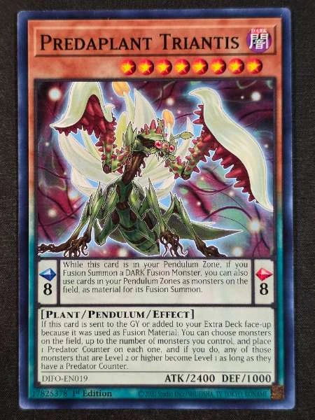 Predaplant Triantis - Dimension Force #DIFO-EN019