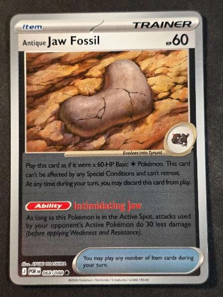 Antique Jaw Fossil - Perfect Order #068/088