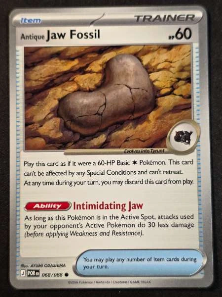 Antique Jaw Fossil - Perfect Order #068/088