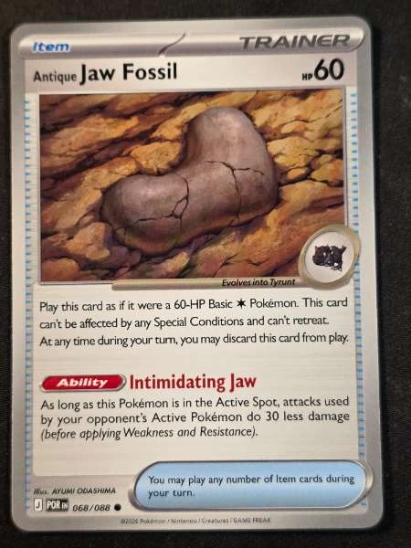 Antique Jaw Fossil - Perfect Order #068/088