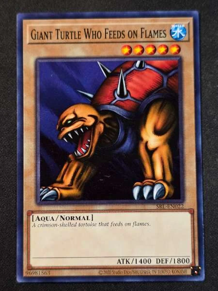 Giant Turtle Who Feeds on Flames - Spell Ruler #SRL-EN022